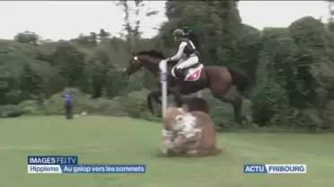 Au galop vers les sommets