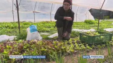 Portrait du maraîcher des Jardins d&#039;Ogoz