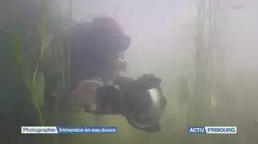 Immersion en eau douce