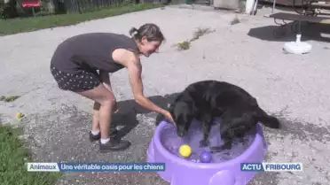Alerte canicule au refuge