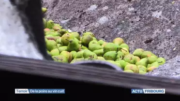 Les coulisses de la fabrication du vin cuit