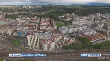 La mutation de Pérolles