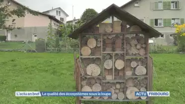 La qualité des écosystèmes sous la