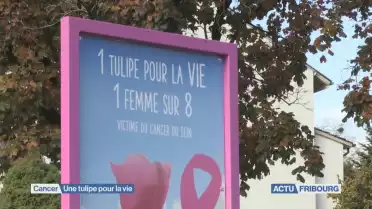 Une tulipe pour la vie