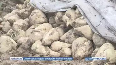 Journal du 5 novembre 2019