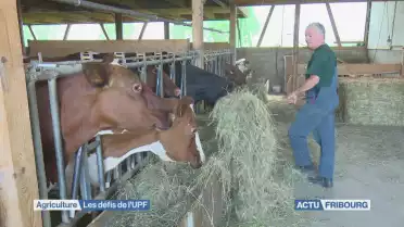 Les défis du monde paysan