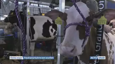 Swiss expo: Vaud poursuivra son soutien