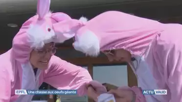 Des lapins à la chasse aux oeufs 