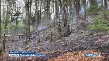 Feu de forêt en avril