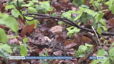 Ouverture du procès pour assassinat à Vevey