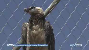 Nouveau concubinage à la Garenne