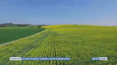 Les députés approuvent largement la limitation du glyphosate