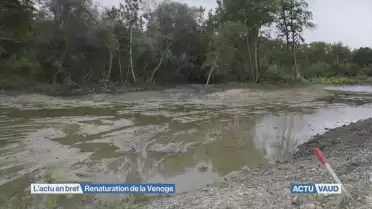 Renaturation de la Venoge