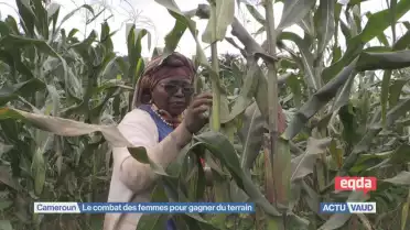 Femmes fabuleuses du Cameroun