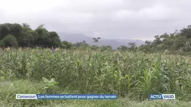 Femmes fabuleuses du cameroun 2/3