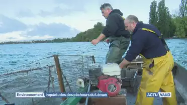 Inquiètudes des pêcheurs du Léman