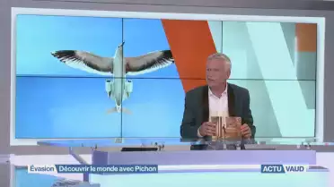 Sacré Pichon voyageur !
