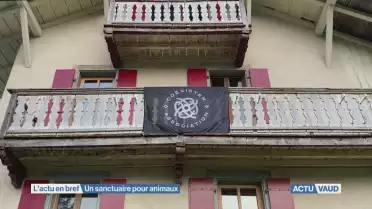 Un sanctuaire pour animaux
