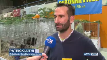 70 ans d&#039;aviculture!