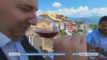 Les vins sont-ils bons ?