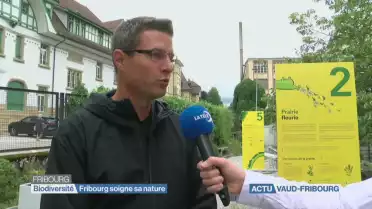 Journal du 19 août 2019