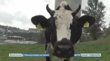 Fribourg soigne sa nature