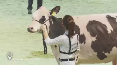 Swiss Expo de Lausanne