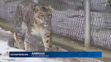 Dans les coulisses du zoo de Servion