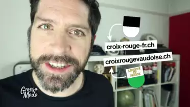 Qui qui veut du mimosa ?