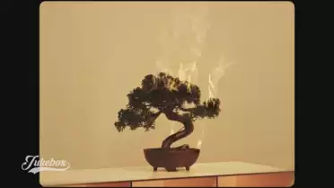 &quot;Smoke&quot; de Gaspard Sommer