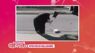 Le grosses colères d&#039;Internet