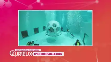 Les activités à faire (ou pas) juste avant la fin du monde
