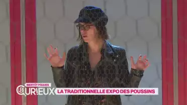 La traditionnelle exposition des poussins 