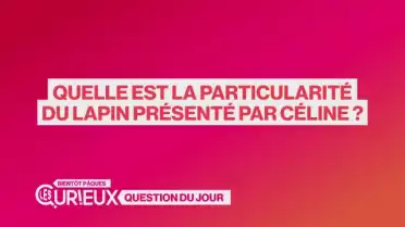 Quelle est la particularité du lapin présenté par Céline ?