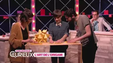 L&#039;art de l&#039;origami