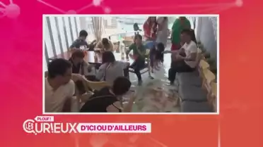 Un restaurant avec du poisson, mais pas dans l'assiette