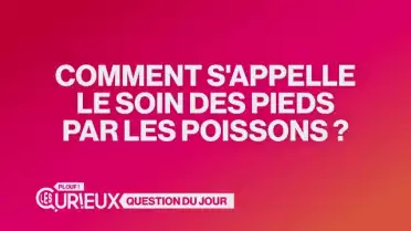 Comment s&#039;appelle le soin des pieds par les poissons ?