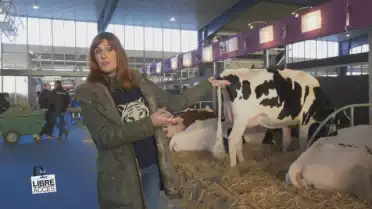 Libre accès à Swiss Expo
