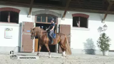 Libre accès au Haras national