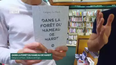 Dans la forêt du hameau de Hardt