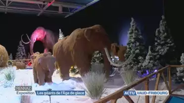 Une exposition glaciale à Rennaz