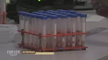 Le virage digital s'accélère pour les entreprises