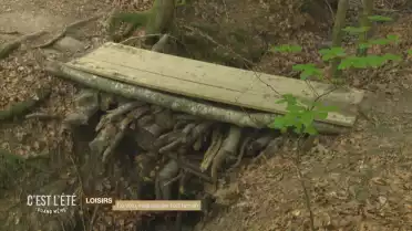 Attention VTT en forêt