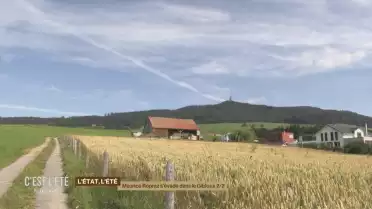 L’État, l’été: Maurice Ropraz à Sorens 2/2