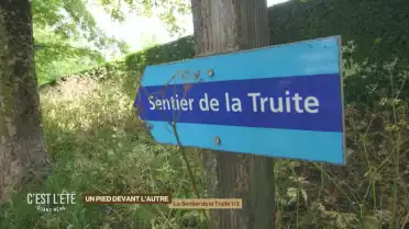 La Cabane du Petit Bois sur le sentier de la truite (1/3)