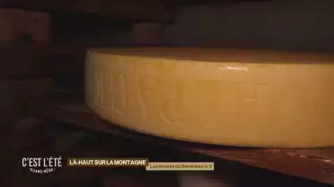 Les merveilles de Tissiniva 3/3