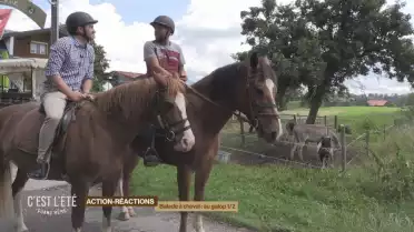 Balade à cheval : le cowboy de la Singine 1/2