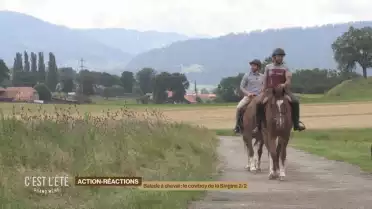 Balade à cheval : le cowboy de la Singine 2/2