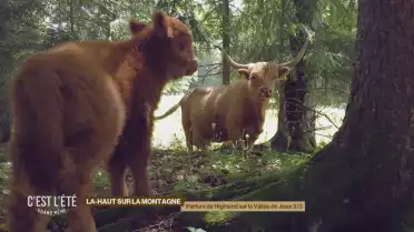 Parfum de Highland sur la Vallée de Joux 3/3