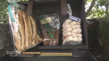 Chasse au trésor dans les bois du Jorat 2/2